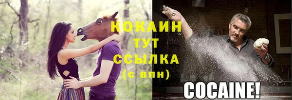 трава Усинск